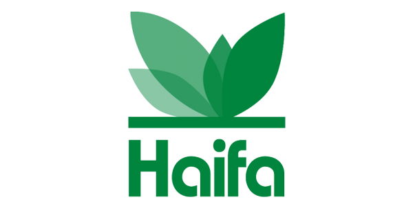 haifa.png